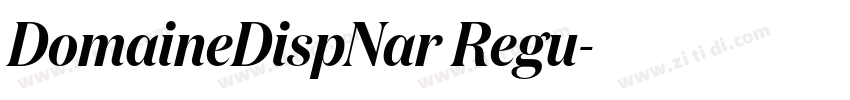 DomaineDispNar Regu字体转换